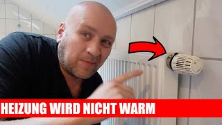 Heizung wird nicht warm ✅ So behebst du die 2 häufigsten Ursachen einfach selbst [upl. by Nimocks154]