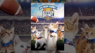 Kitten Bowl V [upl. by Adnal]