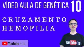 Vídeo Aula Genética 10  Cruzamento de Hemofilia [upl. by Rraval]