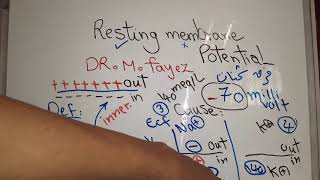 Nerve new system Resting membrane potential dr mohamed fayez [upl. by Benco]