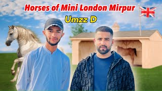 Meetup with Umzz D UmzzOfficial tictoker in Mini London Mirpur 🇬🇧 [upl. by Okier613]