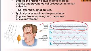 15 Biopsychology Divisions [upl. by Oshinski965]