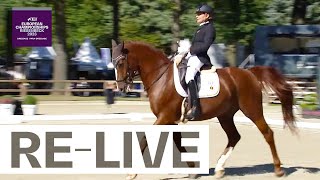 RELIVE  Individual Grade III  FEI Para Dressage European Championships 2023 [upl. by Ellehcam248]