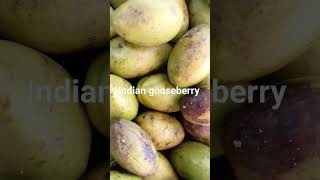 HartokiIndian gooseberrymyrobalan nature fruitsgood for health [upl. by Elodea]