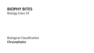 Biology Class 19  Chrysophytes [upl. by Hanover]