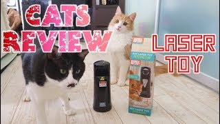 Our cats review a laser toy [upl. by Eibrik]