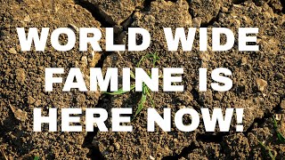 World Wide Famine is HERE NOW [upl. by Milissent]