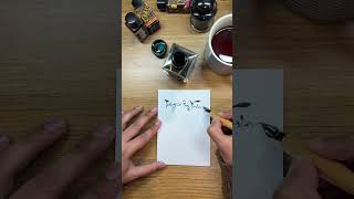 My latest nib Leonardt Steno 40 Nib asmr ink calligraphy satisfyingvideo sketch pen [upl. by Coraline104]