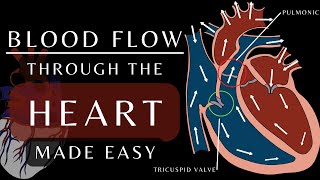 Want to Master Cardiac Physiology Watch This Now  Cardiac Physiology bloodflow heartanatomy [upl. by Adoh]