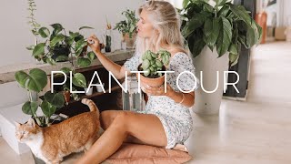 PLANT TOUR 🌱TOUTES MES PLANTES EN POT [upl. by Drahcir]