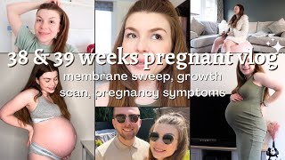 I got a membrane sweep new pregnancy symptoms and updates  38 amp 39 weeks pregnancy vlog [upl. by Ahsiema641]