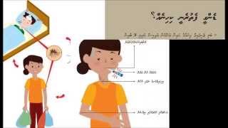 Dengue fever awareness  Maldives [upl. by Fortunato]