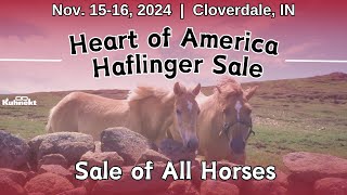 Sale of Horses  2024 Heart of America Haflinger Sale [upl. by Onibla]