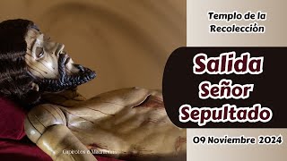 Salida Señor Sepultado Templo de la Recolección  Noviembre 2024 [upl. by Orelia]