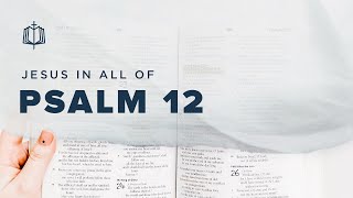 Psalm 12  No One Is Faithful Anymore  Bible Study [upl. by Ahsinwad]