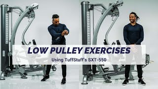 Low Pulley Exercises SXT550 Hybrid Home Gym [upl. by Eirrod173]