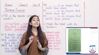 Class 6  Science  Chapter 8  Lecture 70 Textbook Exercise Q 4  5  Allied Schools [upl. by Darton]