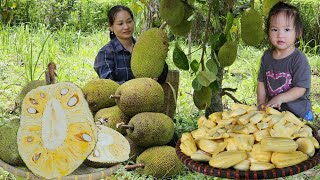 Harvest Agriculture  Wild Canarium  jackfruit Taro Go to market sell  molasses making process [upl. by Sucam]