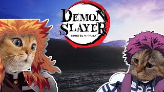 Demon Slayer  Rengoku Vs Akaza  CAT MEMES [upl. by Epstein]