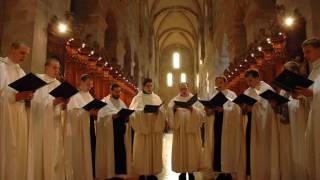 Gregorian Chant The Cistercian Monks Of Stift Heiligenkreuz In Paradisum and Psalm 121 122 [upl. by Arakaj]