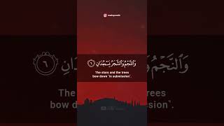 Surah Rahman  Beautiful Quran Recitation  Mishary Rashid AlAfasy  OnAirQuranic quran [upl. by Radnaxela805]