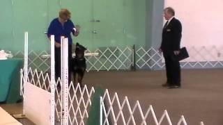 CageDogShow032213 [upl. by Kopans146]