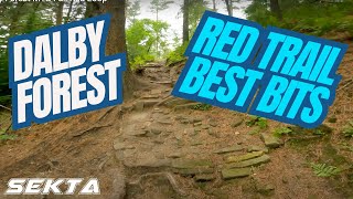 DALBY FOREST MTB💥Full Red Trail [upl. by Ahsyat]