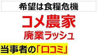 どうあがいても絶望コメ農家廃業ラッシュの当事者の口コミを20件紹介します [upl. by Sup]