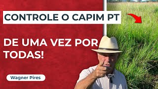 CAPIM PT  ELIMINE ESSA PRAGA DE UMA VEZ POR TODAS DA SUA FAZENDA [upl. by Felike]