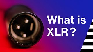 What is XLR [upl. by Curcio656]