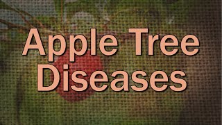 Apple Tree Diseases – Family Plot [upl. by Clayborne166]