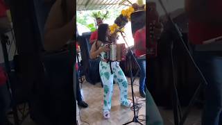 La Doncella Del Acordeón LIVE 🥵 shortvideo vallenato merengue viralvideo musica [upl. by Irot521]