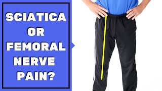 Is Leg Pain Sciatica or Femoral Nerve Pain Must See to Assess amp Stop Pain [upl. by Itaws]