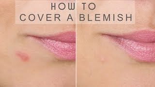 How To Cover A Blemish  Quick amp Simple  Shonagh Scott  ShowMe MakeUp [upl. by Maryl747]