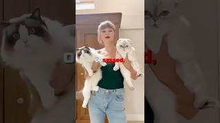 Katy Perry STEALS Taylor Swifts CAT 🤯🐈 [upl. by Eledoya]