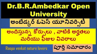 DrBRAmbedkar Open University offered Courses  Eligibility and fee details  BRAOU Courses amp fees [upl. by Lap]