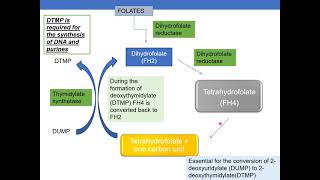 ANTICANCER DRUGS PART 3 ANTIMETABOLITES [upl. by Tihom]