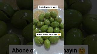 Yeşil Zeytin Tarifi zeytin yeşilzeytin gastronomia sagliklitarifler turkmutfagi [upl. by Avra]