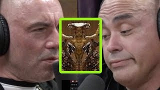 Eddie Bravo Exposes “Luciferian” Elements at Vatican [upl. by Mcmath]