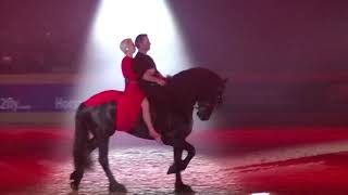 Gerke Friesian Proms 2019 [upl. by Togram]