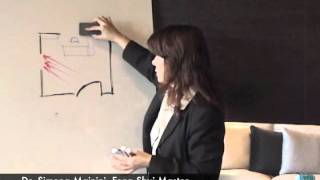 Feng Shui Office in Contemporary Design Simona Mainini Dr Arch Part 413m4v [upl. by Jobina]