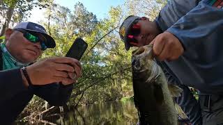 FISHING LAKE SAMPSON IN FLORIDA w a WEEKEND FISHING REPORT [upl. by Yenahc791]