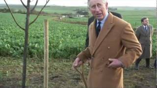 The Prince of Wales plants trees to commemorate The Duke and Duchess of Cambridges wedding [upl. by Noreht406]