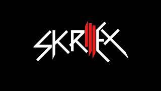 Skrillex amp Blawan  ID [upl. by Danette302]