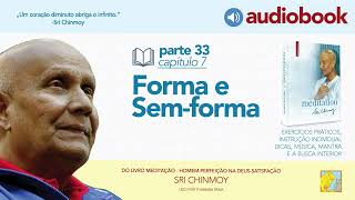 Capítulo 7  Forma e Semforma  audiobook do livro Meditação 33 [upl. by Wettam817]