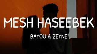 Bayou amp Zeyne  Mesh Haseebek LyricsكلماتEnglish Translation [upl. by Eelan712]