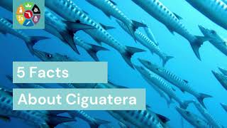 5 Facts About Ciguatera [upl. by Lin702]