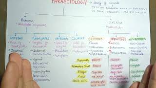 parasitology basics  Parasitology introduction microbiology [upl. by Hesler194]