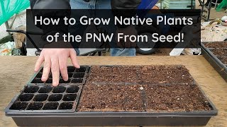 How to Propagate Native Plants of the PNW From Seed [upl. by Loraine]