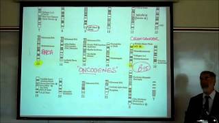 GENES amp DNA REPLICATION by Professor Fink [upl. by Shoshanna]